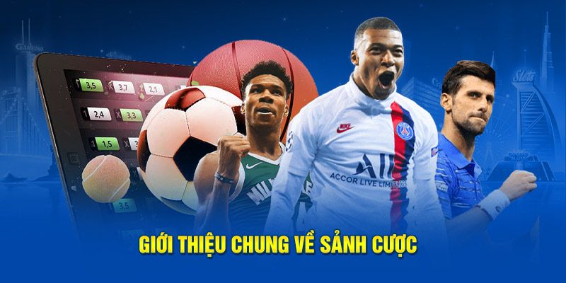 Giới thiệu sảnh CMD thể thao