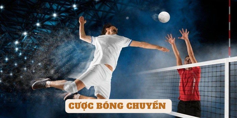 Cược bóng chuyền - Môn thể thao đồng đội với những pha bóng đầy kịch tính