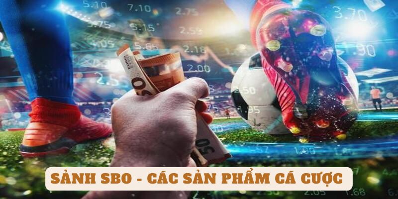 Giới thiệu sảnh SBO - Nơi tập hợp các sản phẩm cá cược đỉnh cao và thú vị