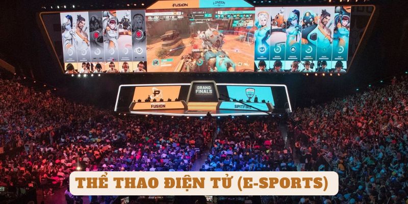 Thể thao điện tử (E-sports) bao gồm các cuộc thi đấu game chuyên nghiệp